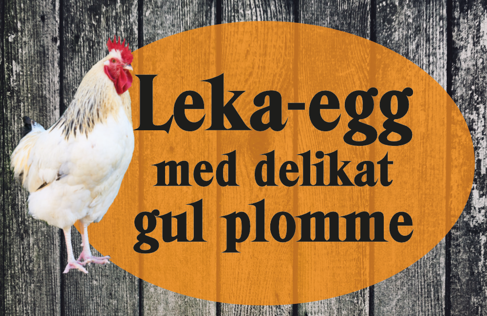 Lekaegg